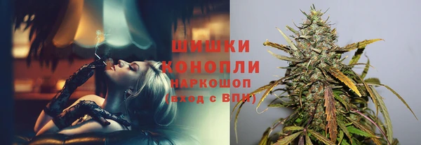 индика Аркадак