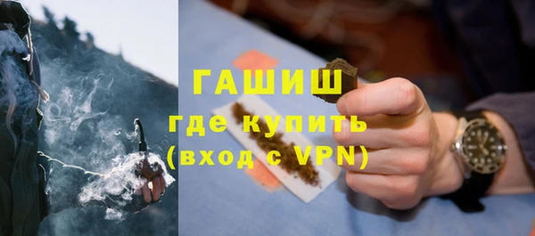 индика Аркадак