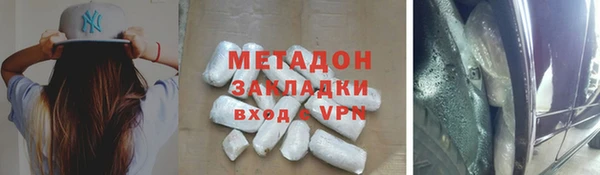 индика Аркадак