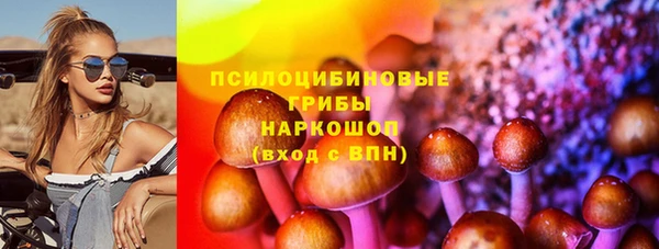 индика Аркадак