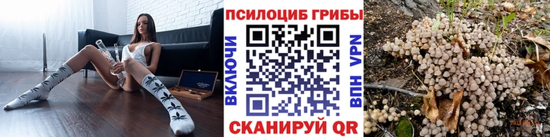 Галлюциногенные грибы Psilocybine cubensis  мориарти состав  blacksprut ТОР  Усть-Кут  где можно купить наркотик 